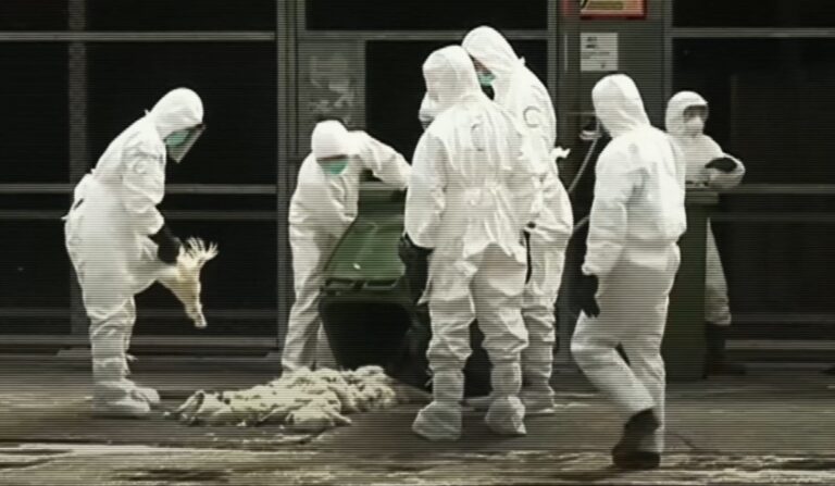 Bersiap Hadapi Virus HMPV, Bumi Datar Indonesia Plesetkan Kata Pandemi jadi Plandemic
